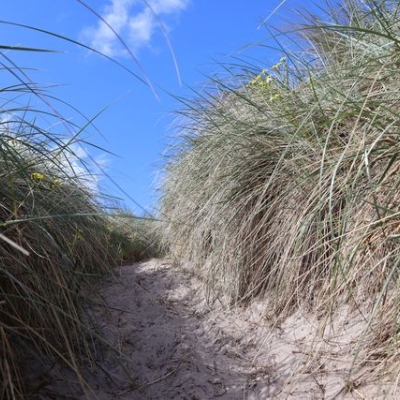 Strandweg