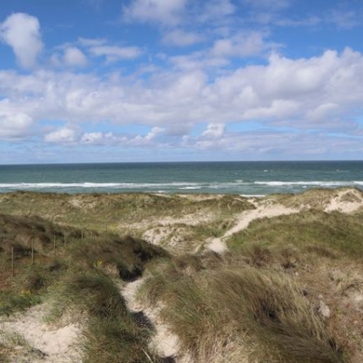 Dünen