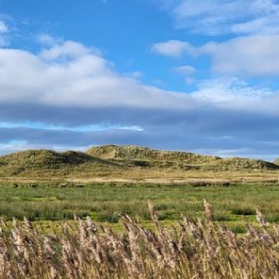 Dünenlandschaft